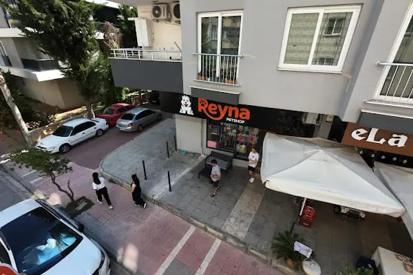 Reyna Pet Shop | Mersin - Resim 19