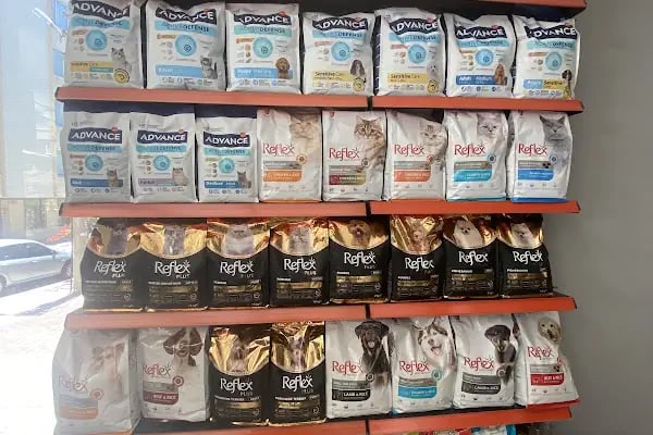 Reyna Pet Shop | Mersin - Resim 8