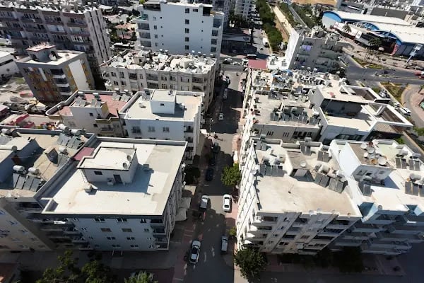 Reyna Pet Shop | Mersin - Resim 3