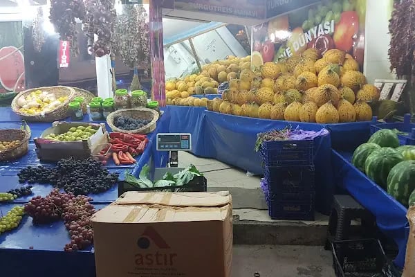 TURGUTREİS MANAV -İLHAN KURŞUN - Resim 12