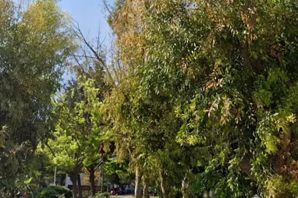 Küçük Park - Resim 4