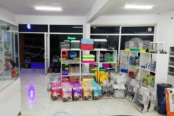 Beyza Petshop Akvaryum &amp; Kuş Galerisi - Resim 5