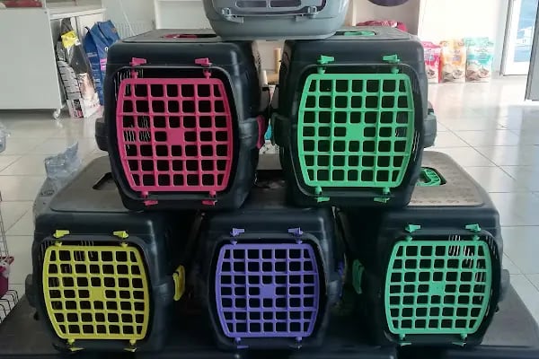 Beyza Petshop Akvaryum &amp; Kuş Galerisi - Resim 12