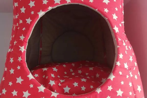 Beyza Petshop Akvaryum &amp; Kuş Galerisi - Resim 14
