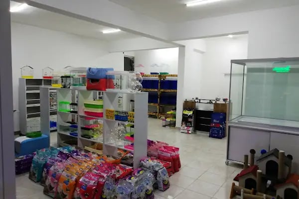 Beyza Petshop Akvaryum &amp; Kuş Galerisi - Resim 2