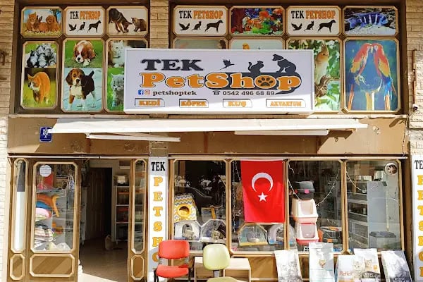 Beyza Petshop Akvaryum &amp; Kuş Galerisi - Resim 8