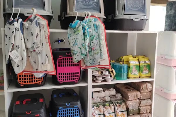 Beyza Petshop Akvaryum &amp; Kuş Galerisi - Resim 16