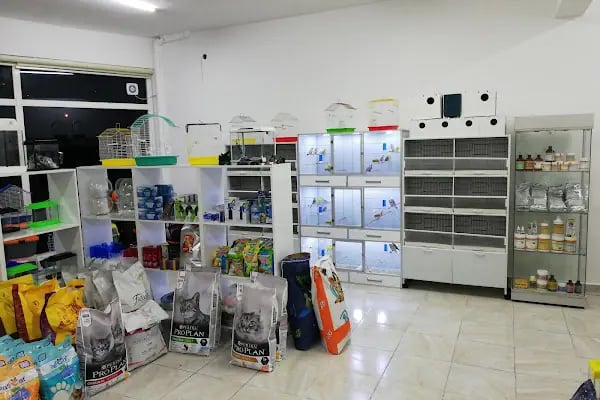 Beyza Petshop Akvaryum &amp; Kuş Galerisi - Resim 15