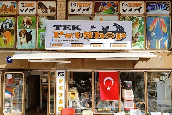 Beyza Petshop Akvaryum &amp; Kuş Galerisi - Resim 11