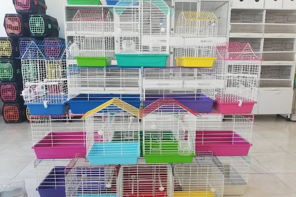 Beyza Petshop Akvaryum &amp; Kuş Galerisi - Resim 13