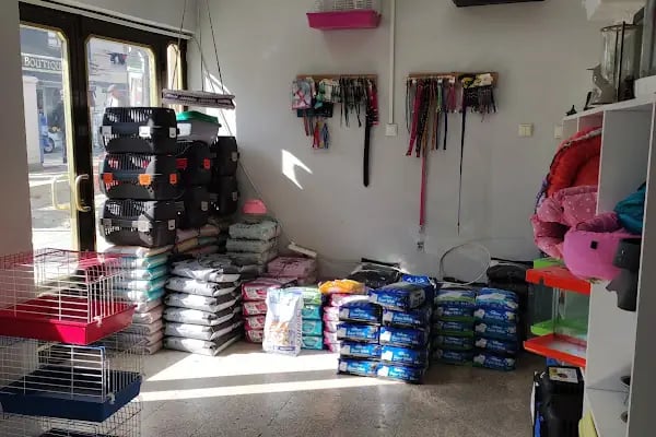Beyza Petshop Akvaryum &amp; Kuş Galerisi - Resim 17