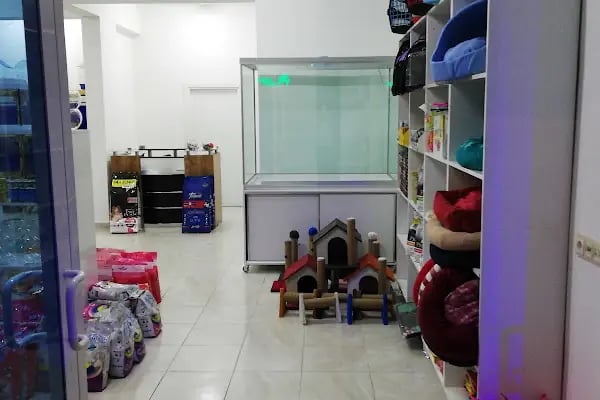Beyza Petshop Akvaryum &amp; Kuş Galerisi - Resim 18