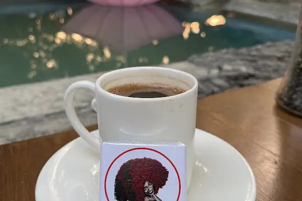 ÜSTAD OCAKBAŞI Kayapa Keyifli Bahçe - Resim 15
