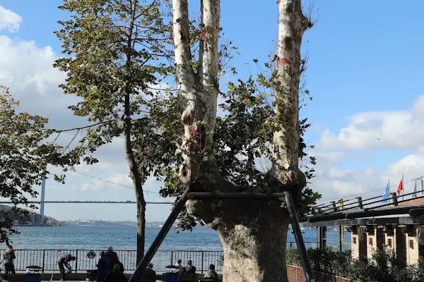 Çengelköy İskelesi - Resim 13