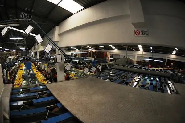 Finike Yachting &amp; Shipping Agency - Resim 9