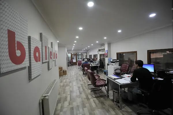 Baleno Orman Ürünleri - Resim 2