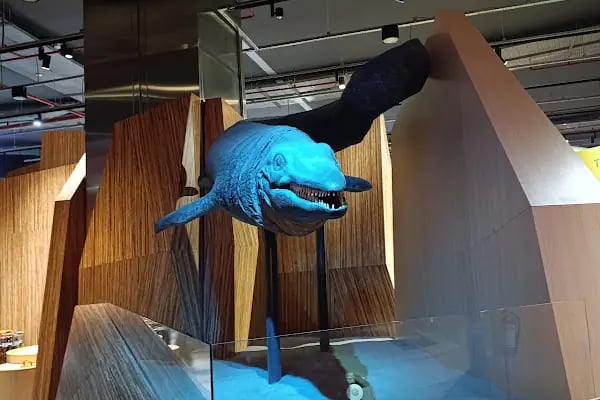 Konya Bilim Merkezi- Science Center - Resim 12
