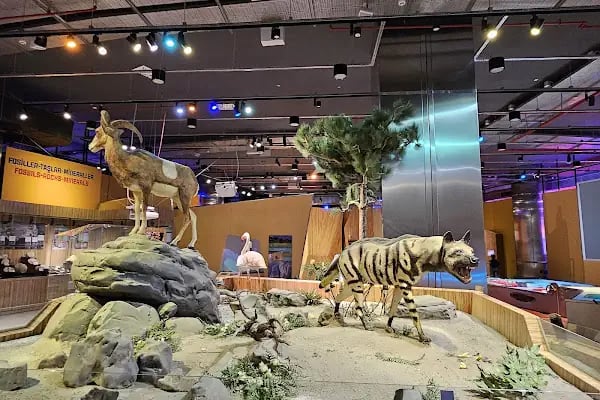 Konya Bilim Merkezi- Science Center - Resim 17