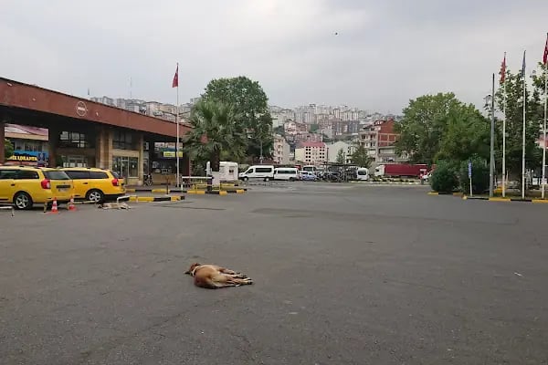 Trabzon Otogar - Resim 14
