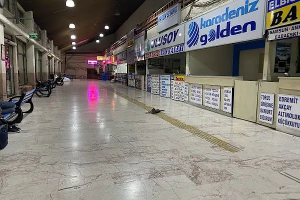 Trabzon Otogar - Resim 4