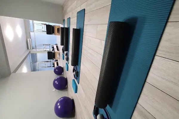 Profiz | Kayropraktik, Fizyoterapist, Manuel Terapi, Skolyoz, Reformer Pilates - Resim 13