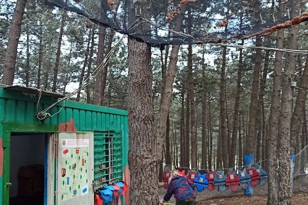 Hedef paintball Saha1 - Resim 2