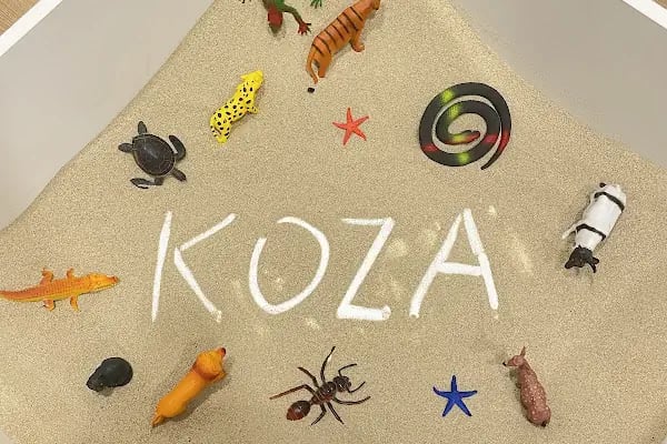 KOZA ÇOCUK PSİKOLOJİK DANIŞMANLIK MERKEZİ - Resim 2