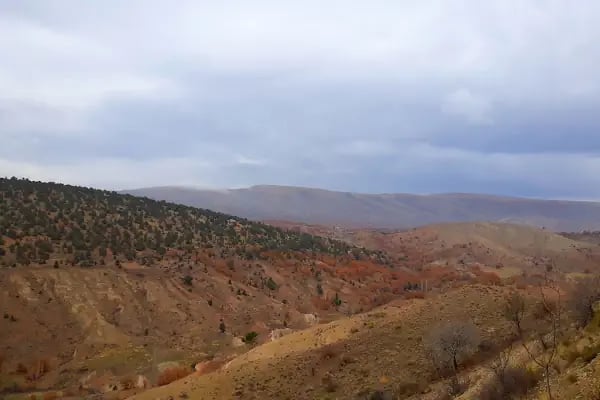 Selçuklu Türbesi - Resim 11