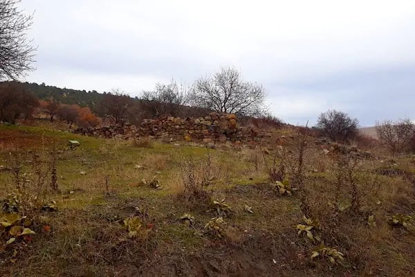 Selçuklu Türbesi - Resim 17