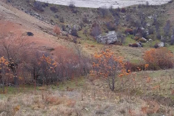 Selçuklu Türbesi - Resim 10