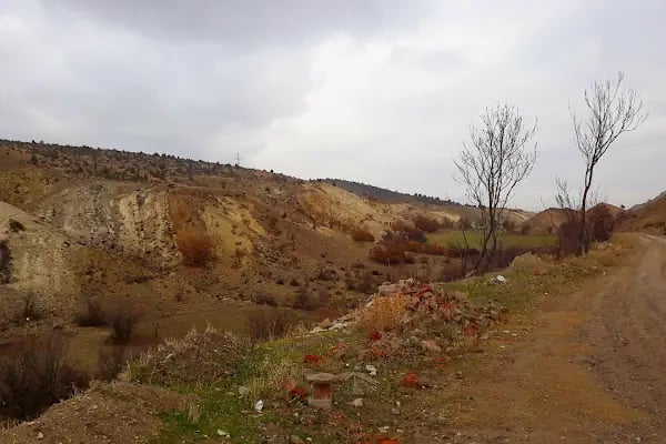 Selçuklu Türbesi - Resim 12