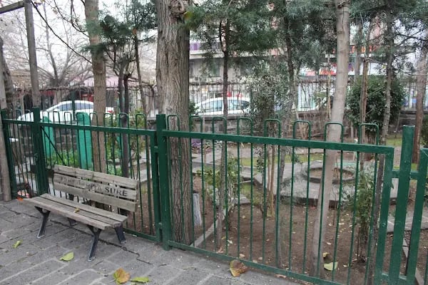 Sarı Saltug Türbesi - Resim 17