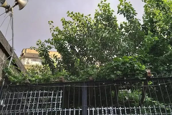 Sarı Saltug Türbesi - Resim 13