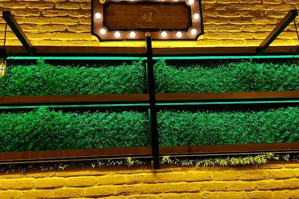 Mr. Frog Pub Bistro - Resim 10