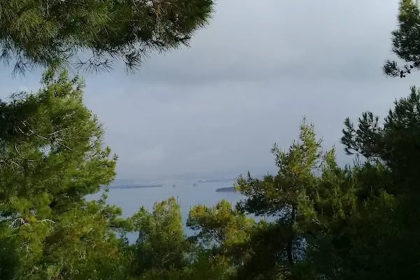 Son Durak Bağı - Resim 4