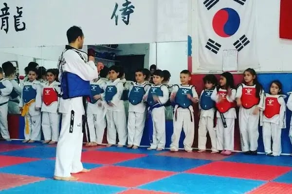 TAEKWONDO KARATE KICK-BOKS KEMPO HAPKİDO UZAK DOĞU SAVUNMA SANATLARIN MERKEZİ - Resim 2