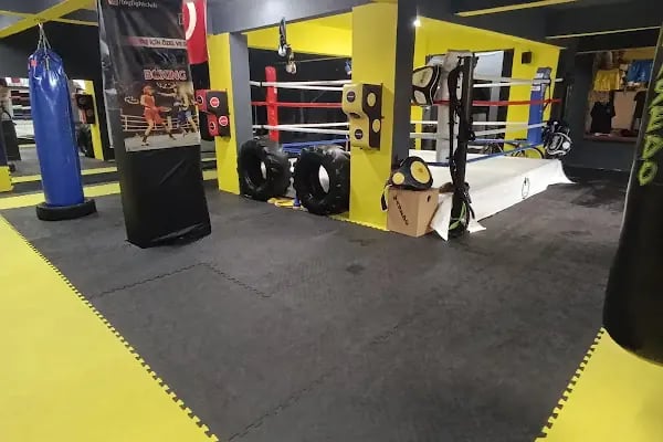 Bağcılar Kickboks Spor Kulübü - Resim 2