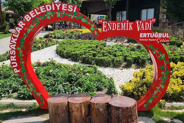 Endemik Vadi - Resim 13