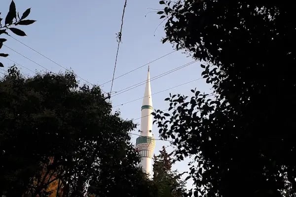 Akevler Cami - Resim 12