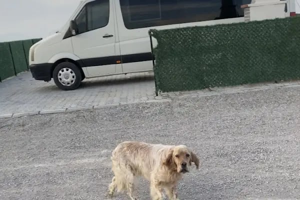 Karaburun Karavan Kamp Alanı - Resim 5