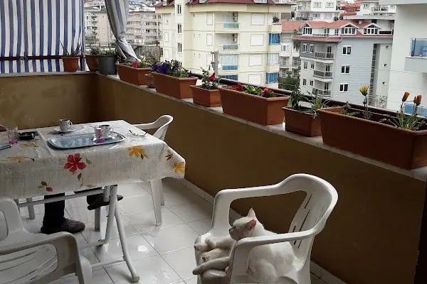Famıly Residence - Resim 2