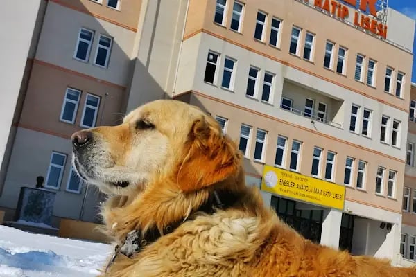 KÜLTÜR KOLEJİ (SAĞLIK LİSESİ &amp; ANADOLU LİSESİ) - Resim 4