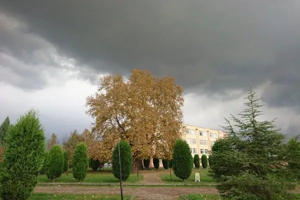 Kocaeli Üniversitesi Turizm İşletmeciliği Ve Otelcilik Yüksek okulu - Resim 2