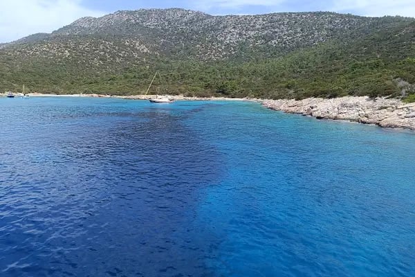 Angel Bodrum - Resim 11
