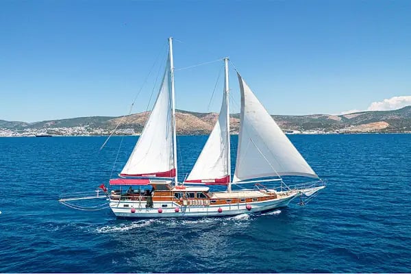 Angel Bodrum - Resim 4