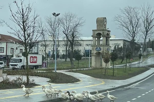 Otağ Tesisleri Cafe Restaurant - Resim 7