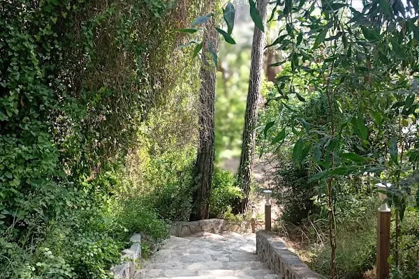 Mutlu Tatil Köyü - Resim 6