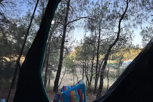 Mutlu Tatil Köyü - Resim 13