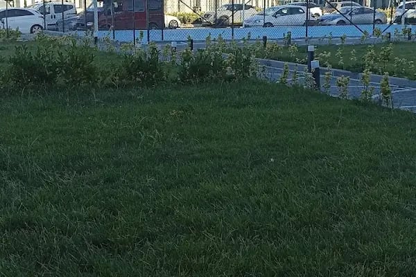 S.S. Havaiş Kıbrıs Caddesi Yapı Kooperatifi - Resim 2