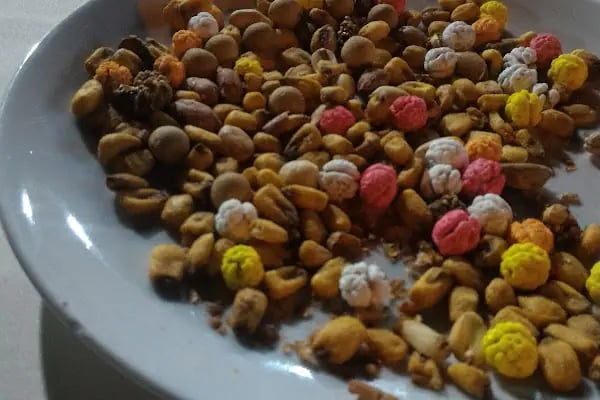 Zeytin ev kır düğün salonu - Resim 14